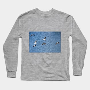 Formation Flying Long Sleeve T-Shirt